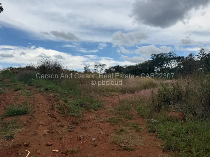 Residential Stand for Sale in Borrowdale, Harare