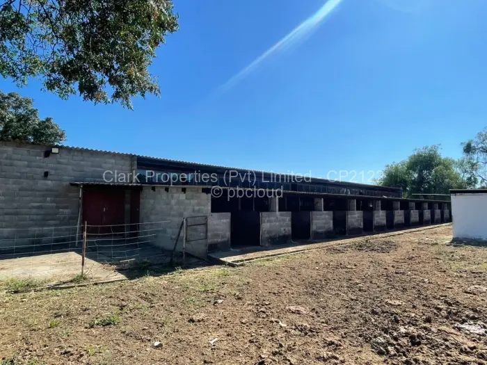 Farm/Plot for Sale in Matobo, Matobo