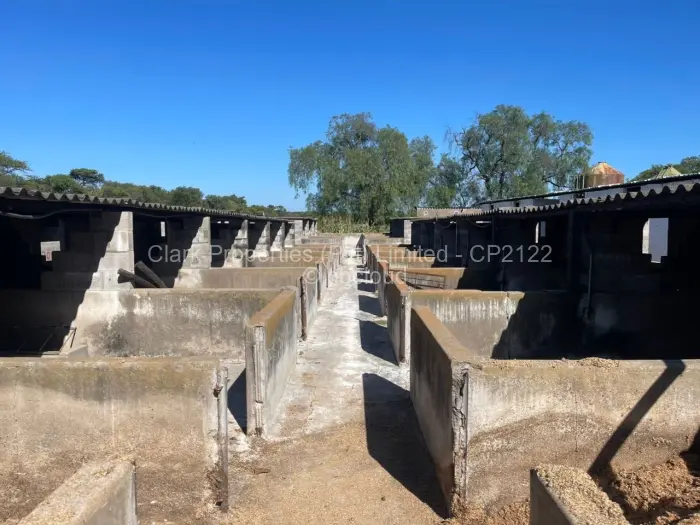 Farm/Plot for Sale in Matobo, Matobo