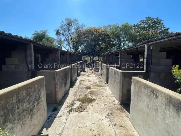 Farm/Plot for Sale in Matobo, Matobo