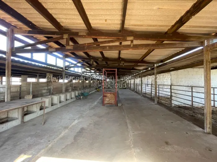 Farm/Plot for Sale in Matobo, Matobo