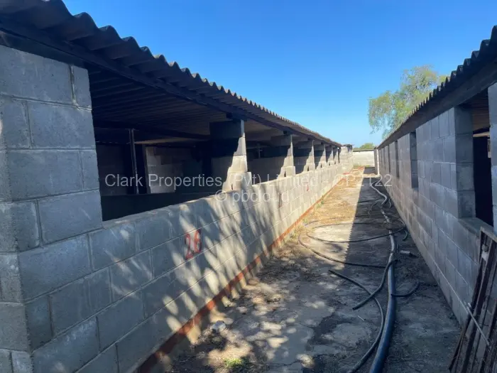 Farm/Plot for Sale in Matobo, Matobo