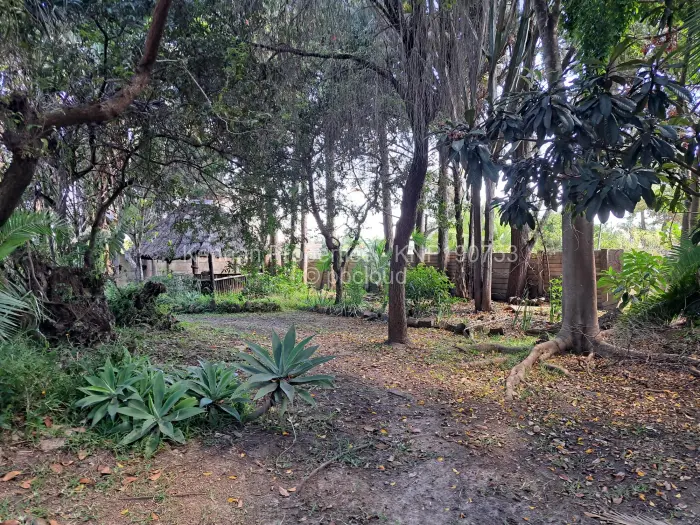 3 Bedroom House for Sale in Sunridge, Harare