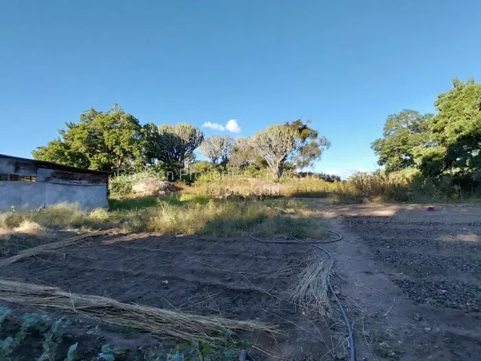 Farm/Plot for Sale in Hatfield, Harare
