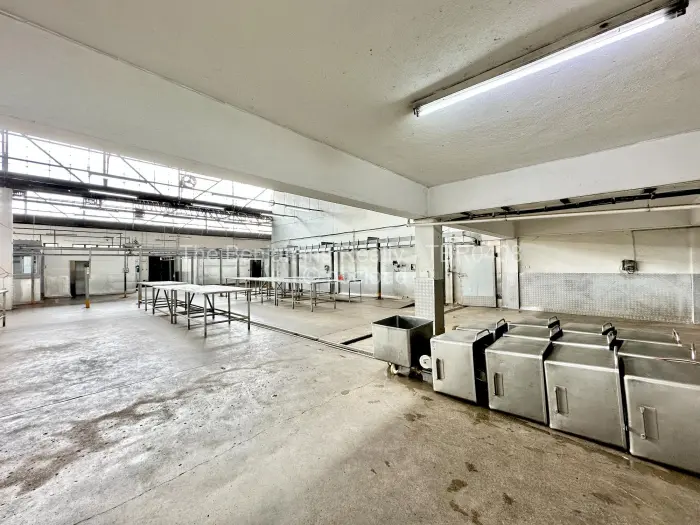 Warehouse/Industrial for Sale in Willowvale, Harare