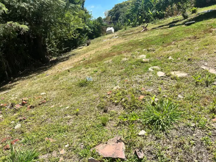 Residential Stand for Sale in Avondale, Harare