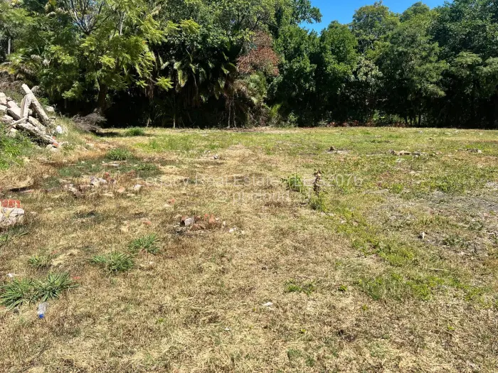 Residential Stand for Sale in Avondale, Harare