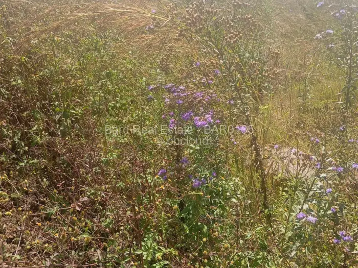 Residential Stand for Sale in Haydon Park, Mazowe