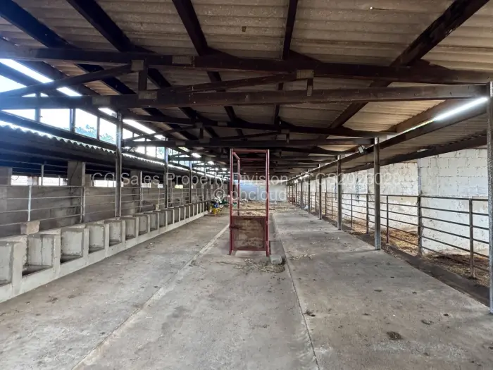 Farm/Plot for Sale in Matobo, Matobo