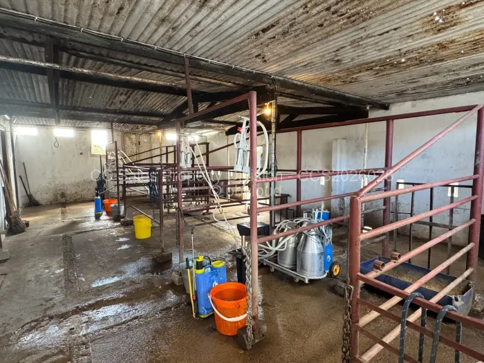 Farm/Plot for Sale in Matobo, Matobo