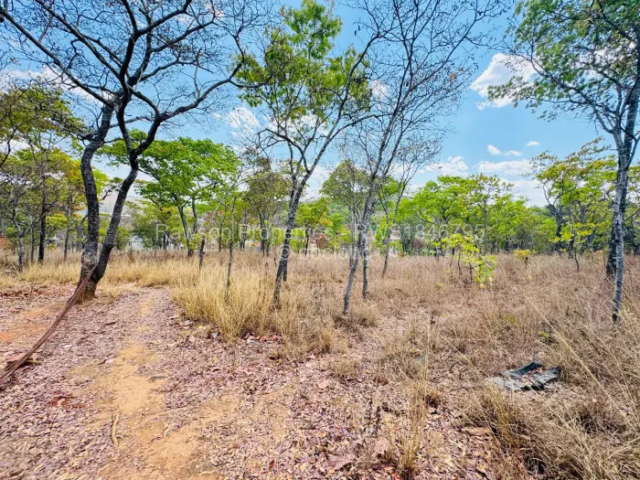 Residential Stand for Sale in Carrick Creagh Estate, Harare