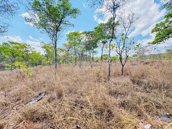 Residential Stand for Sale in Carrick Creagh Estate, Harare