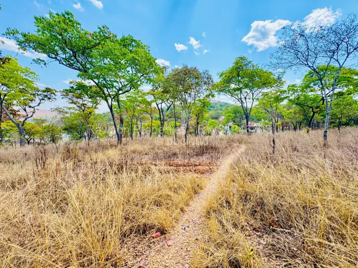 Residential Stand for Sale in Carrick Creagh Estate, Harare