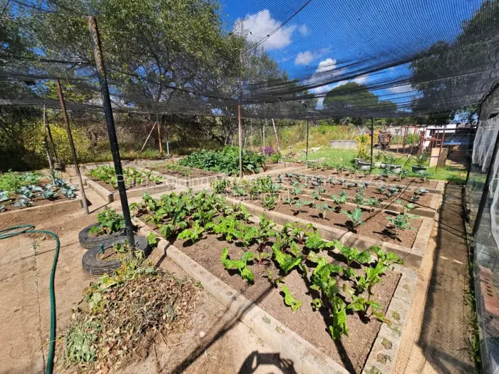 Farm/Plot for Sale in Matobo, Matobo