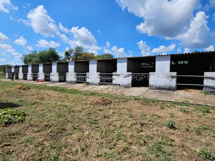 Farm/Plot for Sale in Matobo, Matobo