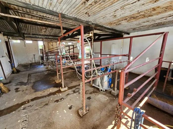 Farm/Plot for Sale in Matobo, Matobo