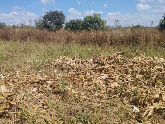 Residential Stand for Sale in Pomona, Harare