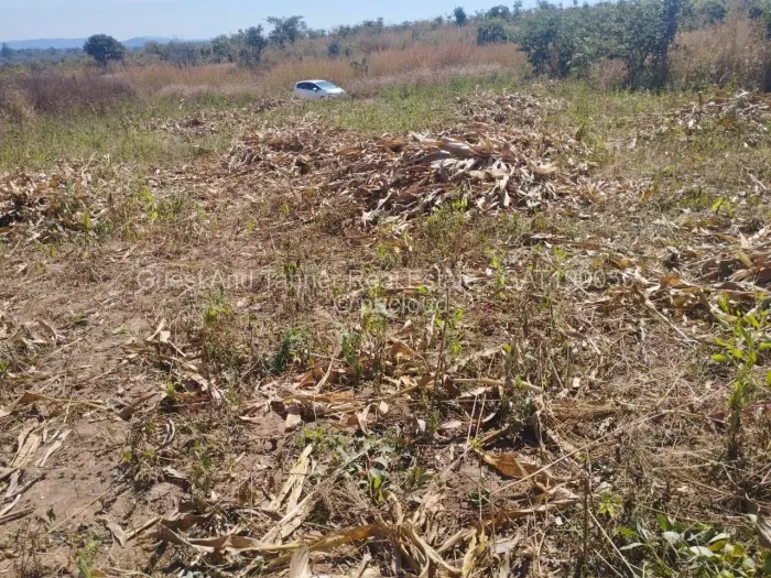 Residential Stand for Sale in Pomona, Harare