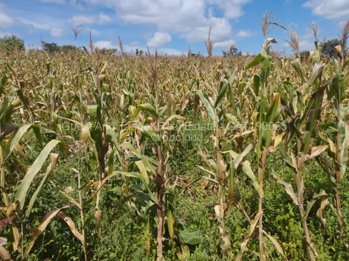 Residential Stand for Sale in Pomona, Harare