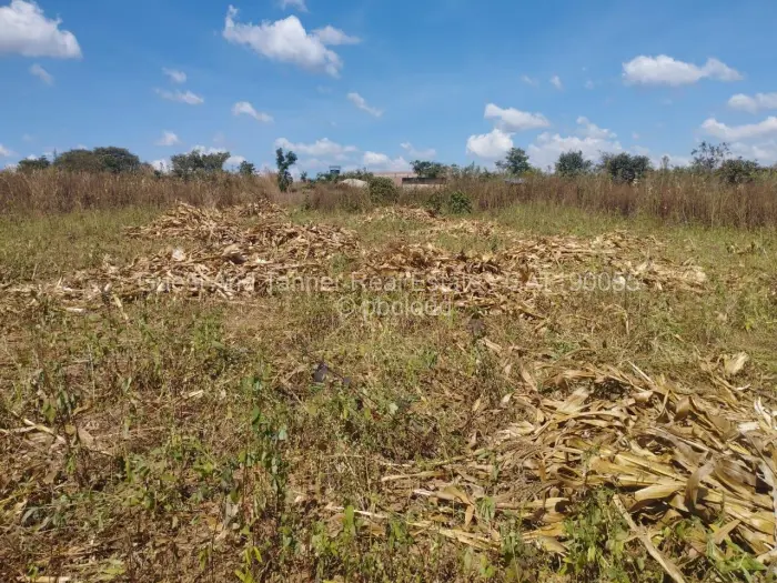 Residential Stand for Sale in Pomona, Harare