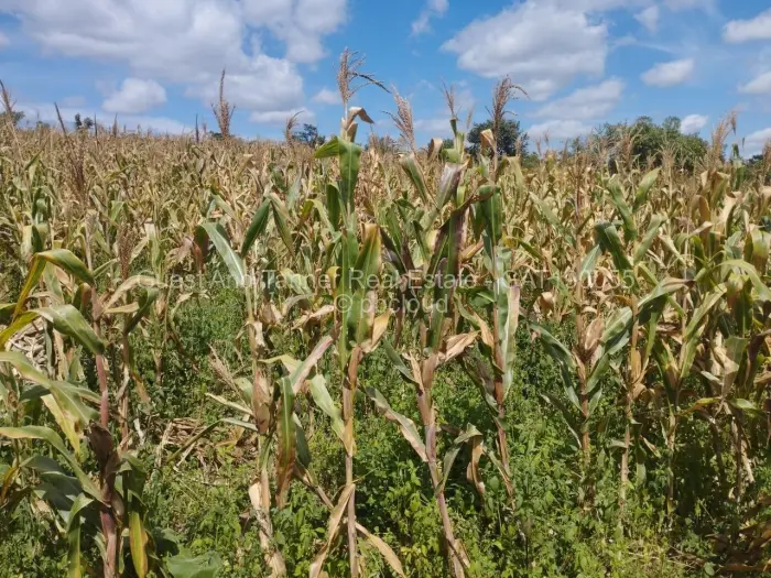 Residential Stand for Sale in Pomona, Harare