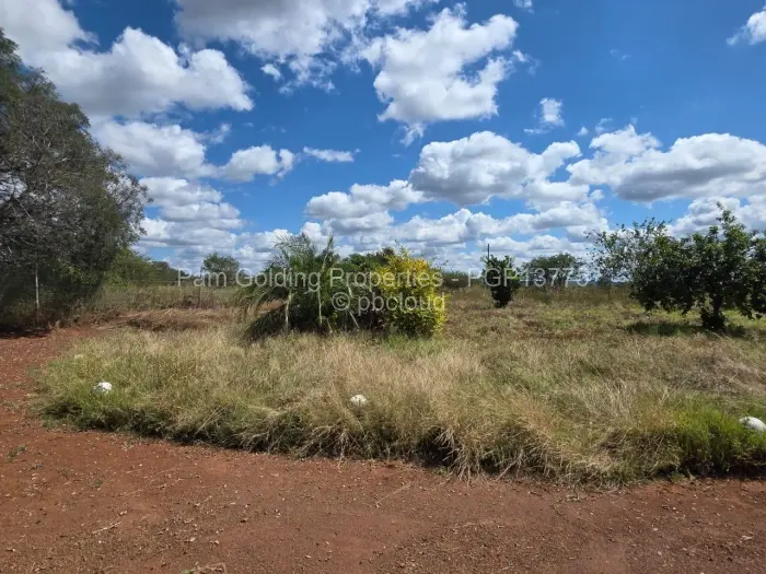 Farm/Plot for Sale in Nyamandlovu, Bulawayo