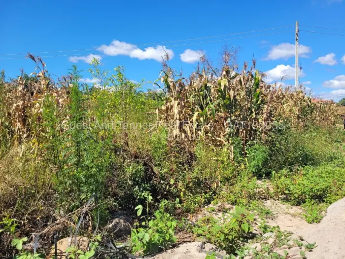 Residential Stand for Sale in Crowhill Views, Harare