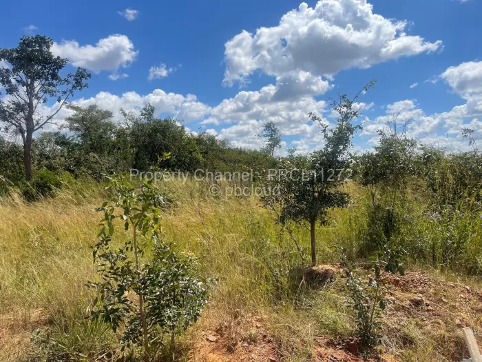 Residential Stand for Sale in Nyabira, Zvimba