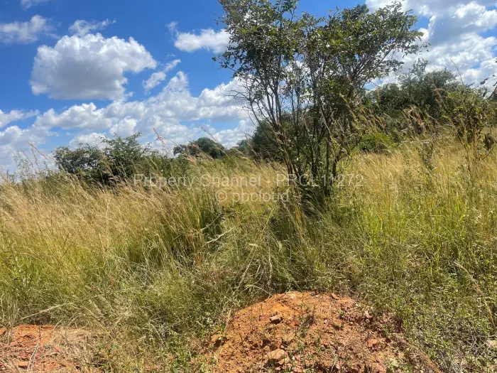 Residential Stand for Sale in Nyabira, Zvimba