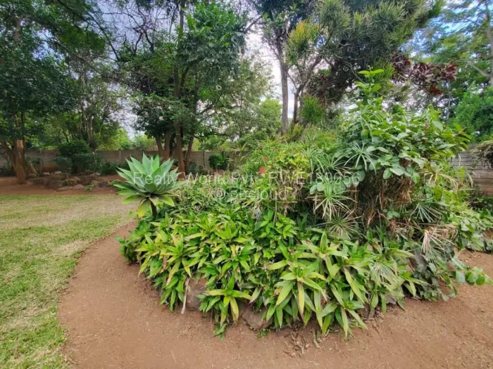 4 Bedroom House to Rent in Chisipite