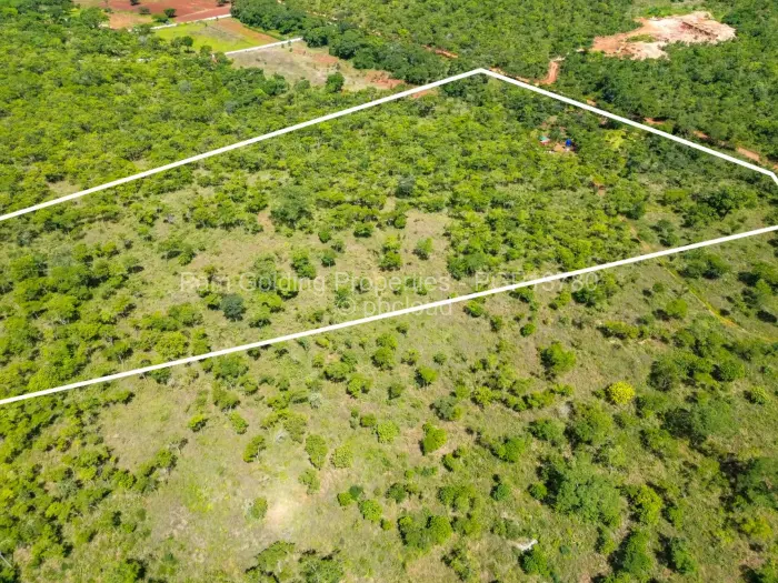 Farm/Plot for Sale in Cromlet, Arcturus