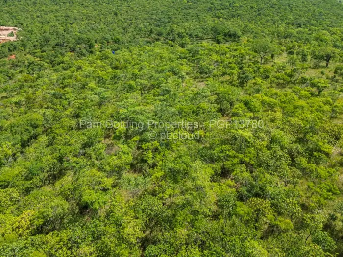 Farm/Plot for Sale in Cromlet, Arcturus