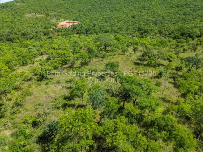 Farm/Plot for Sale in Cromlet, Arcturus