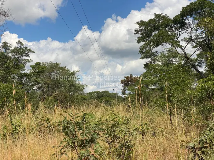 Farm/Plot for Sale in Kadoma, Kadoma