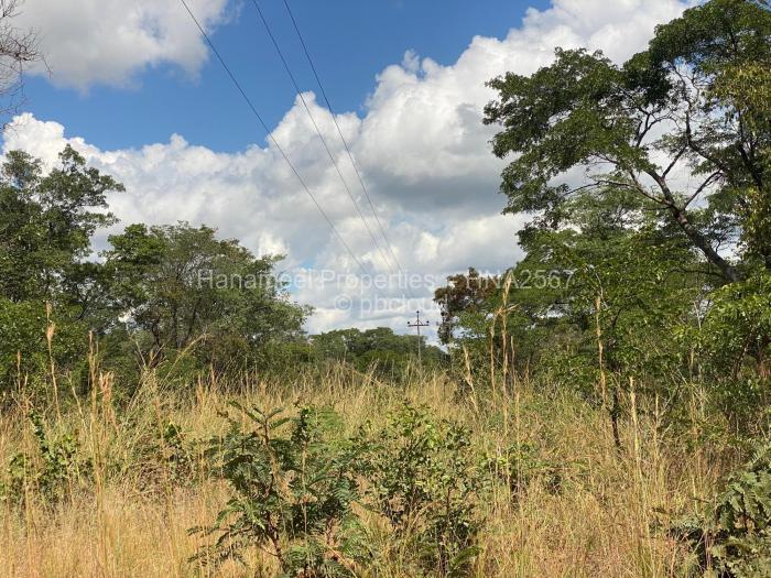 Farm/Plot for Sale in Kadoma, Kadoma