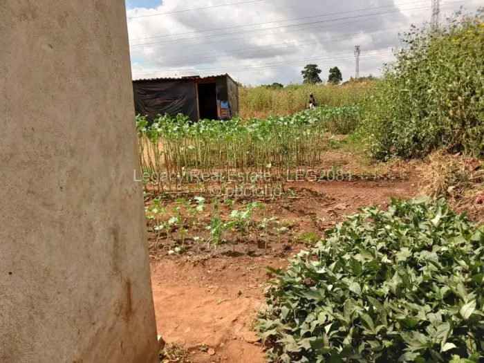 Residential Stand for Sale in Kuwadzana, Harare