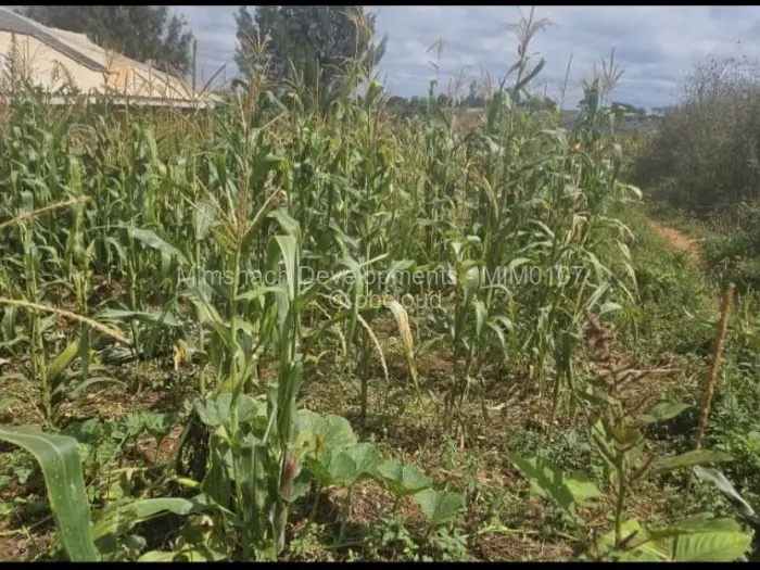 Residential Stand for Sale in Hatcliffe, Harare