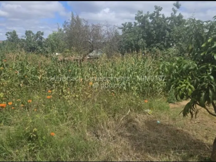 Residential Stand for Sale in Hatcliffe, Harare