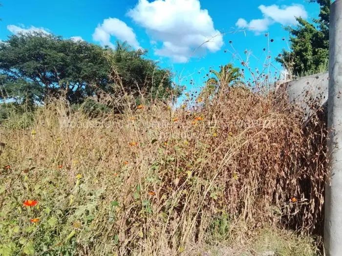 Residential Stand for Sale in Borrowdale, Harare