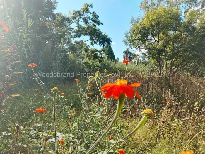 Residential Stand for Sale in Borrowdale, Harare