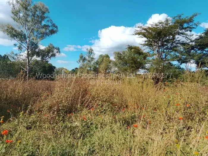 Residential Stand for Sale in Borrowdale, Harare