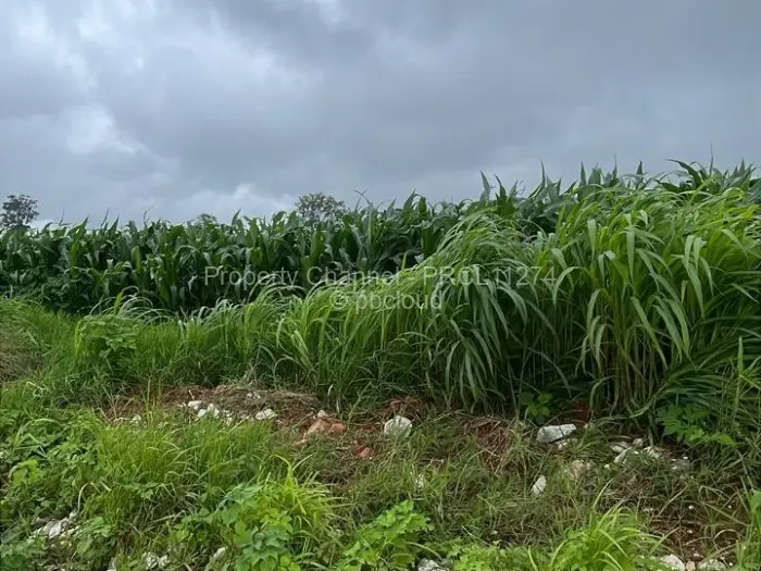 Commercial Stand for Sale in Borrowdale, Harare