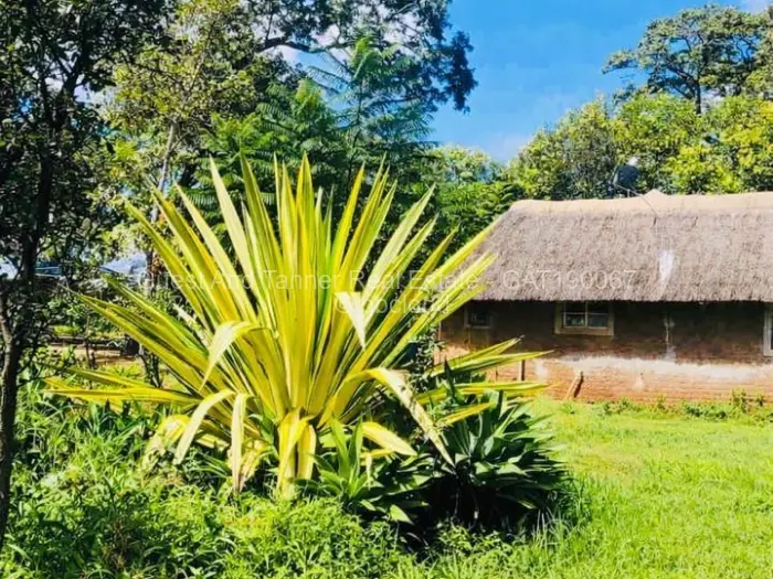 3 Bedroom House for Sale in Gletwin Park, Harare