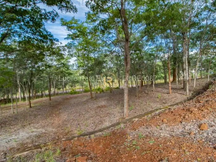 6 Bedroom House for Sale in Shawasha Hills, Harare