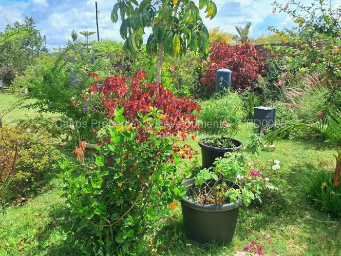 5 Bedroom House for Sale in Pomona, Harare