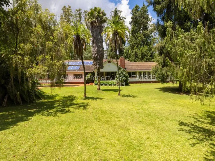 Commercial Stand for Sale in Chisipite, Harare