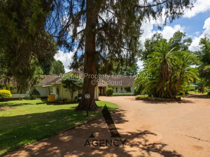 Commercial Stand for Sale in Chisipite, Harare