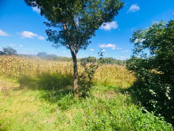 Farm/Plot for Sale in Glen Forest, Harare