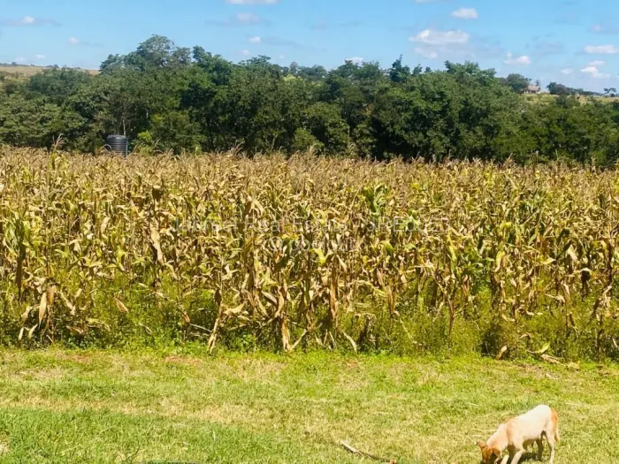 Farm/Plot for Sale in Glen Forest, Harare