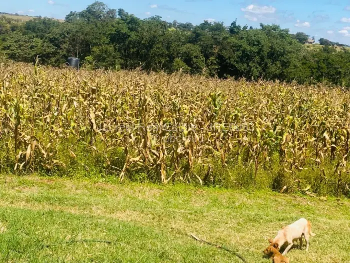 Farm/Plot for Sale in Glen Forest, Harare